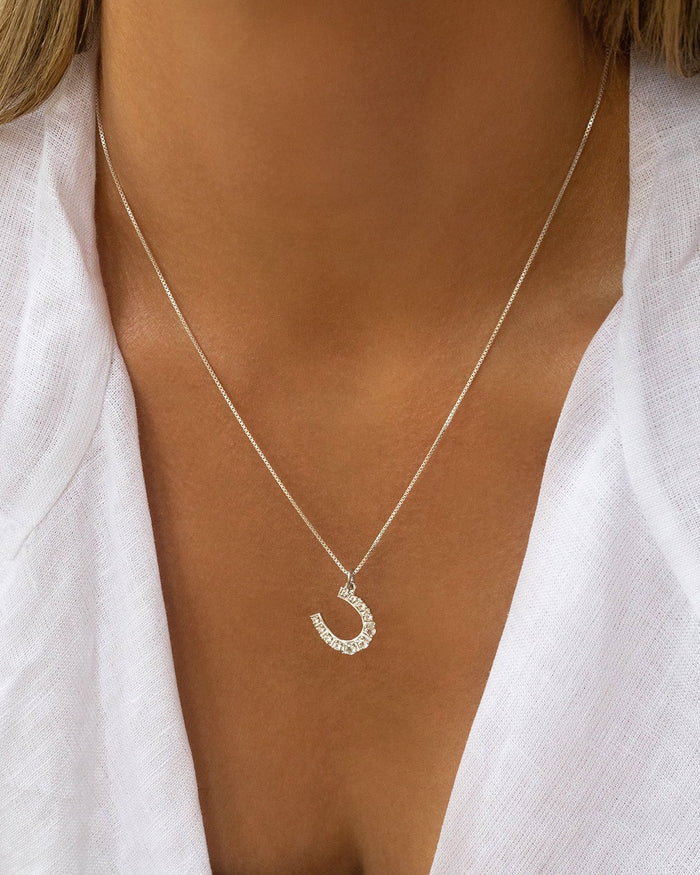 Horseshoe Necklace