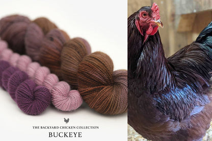 Hue Loco 2022 Chickens