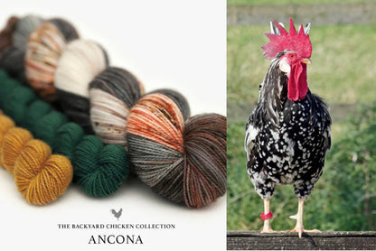 Hue Loco 2023 Chickens