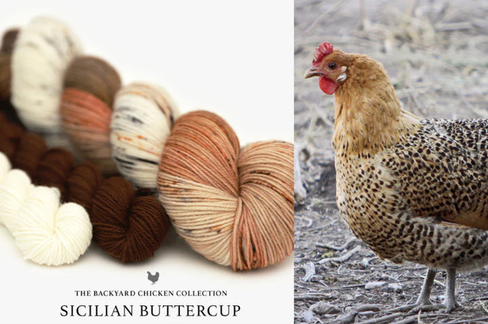 Hue Loco 2023 Chickens