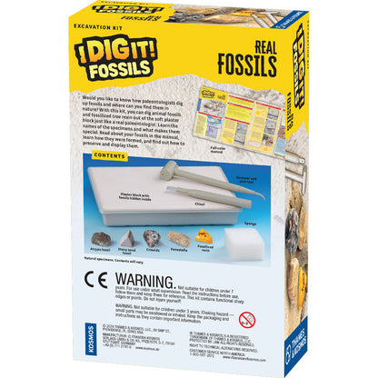 I Dig It! Fossils - Real Fossils Excavation Kit STEM Thames & Kosmos