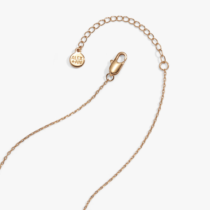 pickle-locket-necklace-4-AO260471FSG
