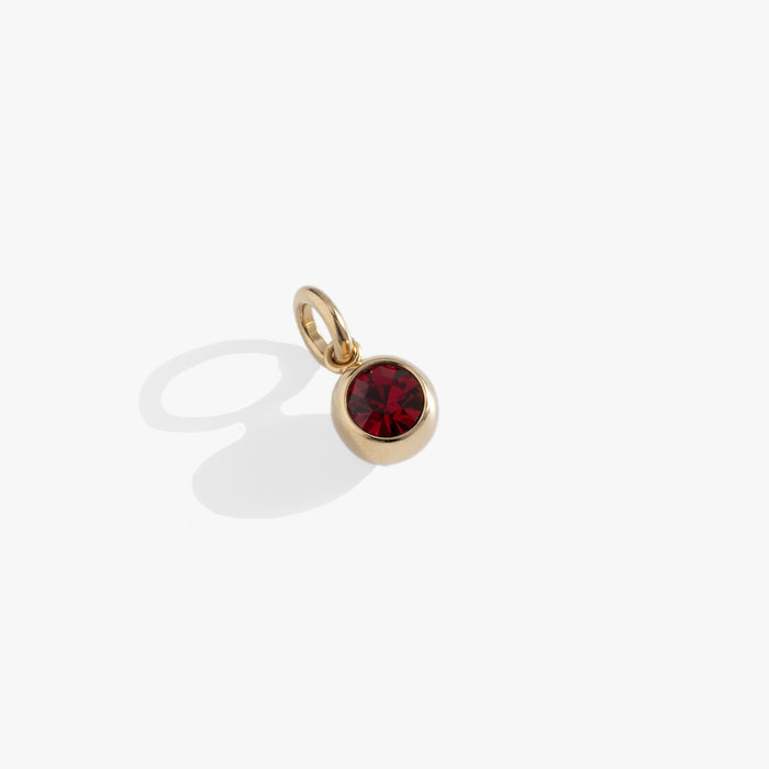 January Birthstone Interchangeable Charm