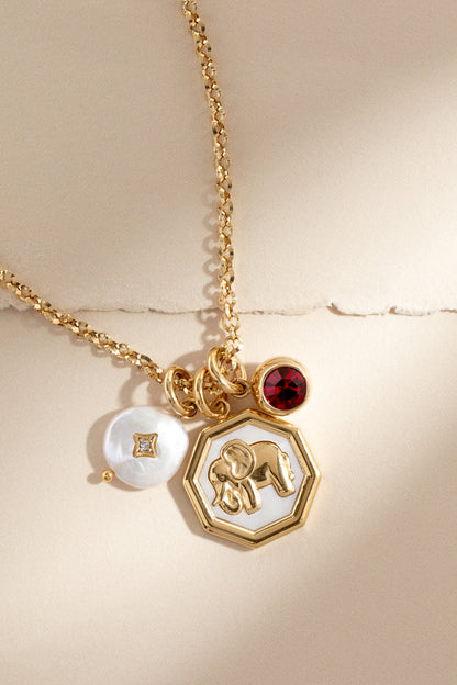 January Birthstone Interchangeable Charm