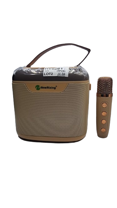 KTV Speaker
