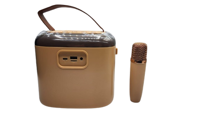 KTV Speaker