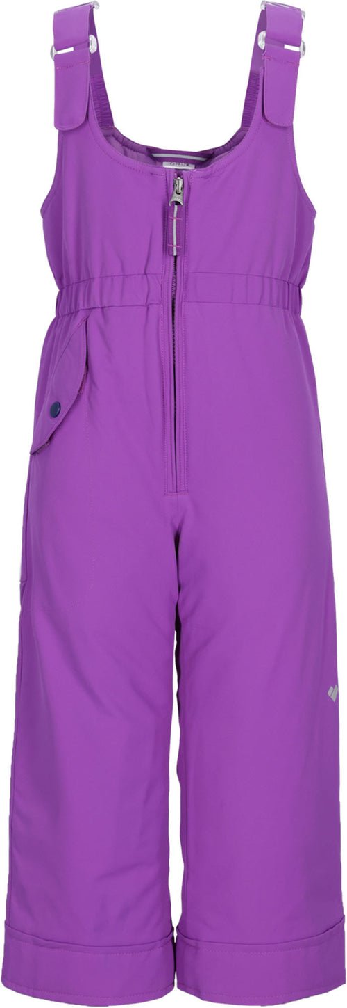Obermeyer Snoverall Ski Pant 2025