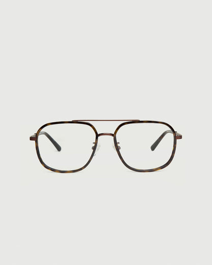Bronze Tort / Tort