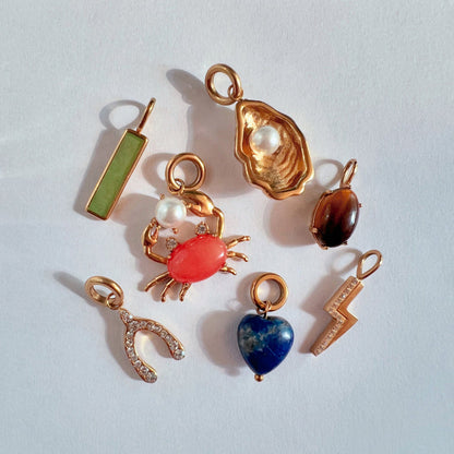 Oyster Interchangeable Charm