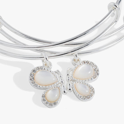 Perfect Pairs- Butterfly Wings Bangle Set of 2
