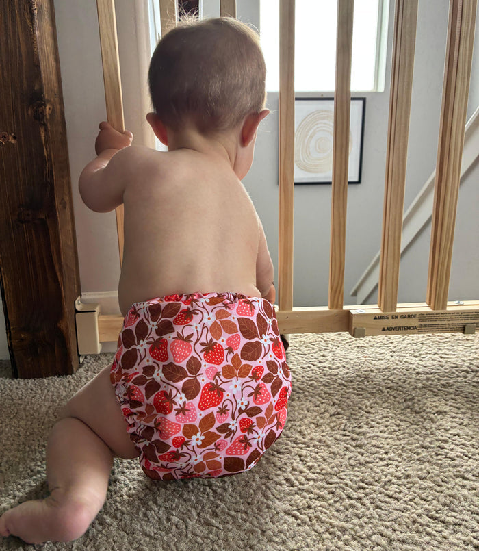 POCKET DIAPER 3.0 WITH INSERTS - 6 PACK(Blossom)