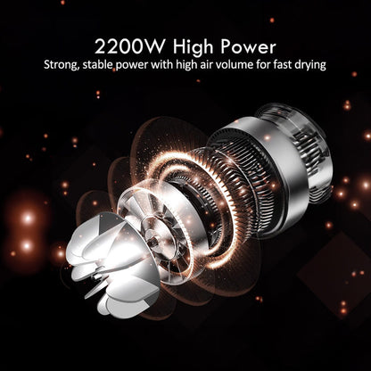 PowerPac DC High Speed Hair Dryer with cool air, Professional Hair Dryer, 2200W (PPH9075A)
