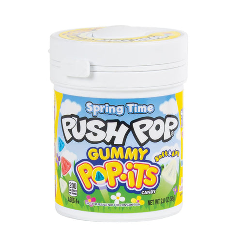 Push Pop Spring Time Gummy Pop Candy - 24 Count