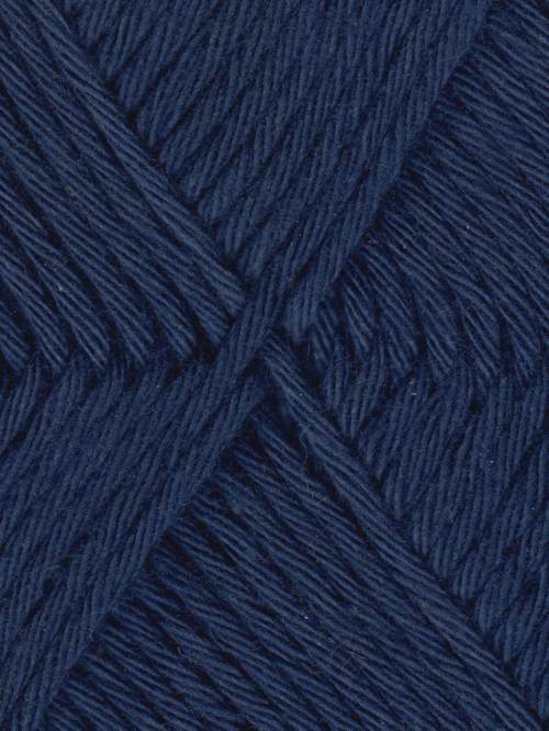 1009 - Navy