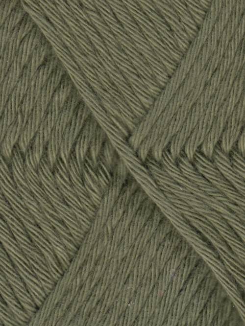 Queensland Coastal Cotton
