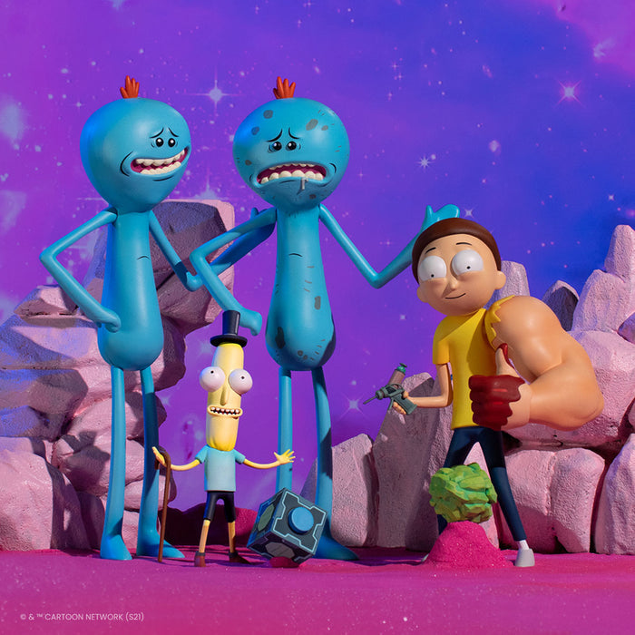 Rick and Morty Exclusive Deluxe Figure Set (Series 2)