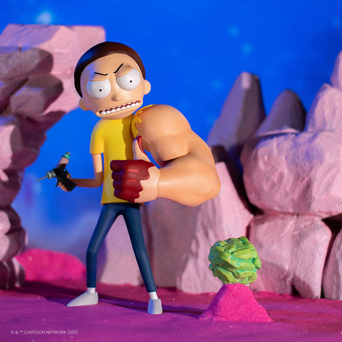 Rick and Morty Figure Set (Series 2)
