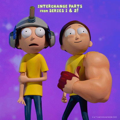 Rick and Morty Figure Set (Series 2)