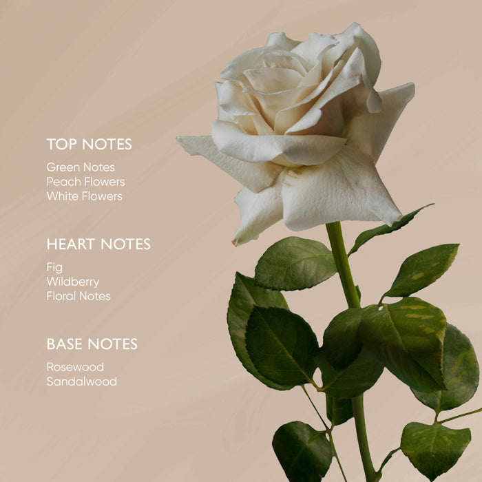 Rose Body Oil