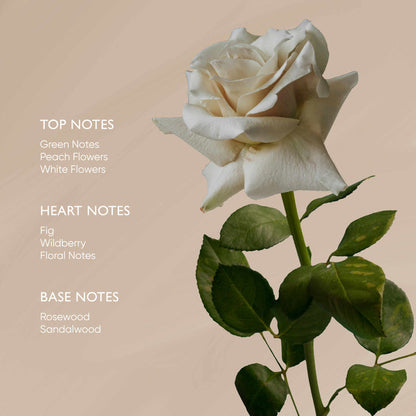 Rose Body Oil