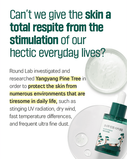 ROUND LAB Pine Calming Cica Ampoule