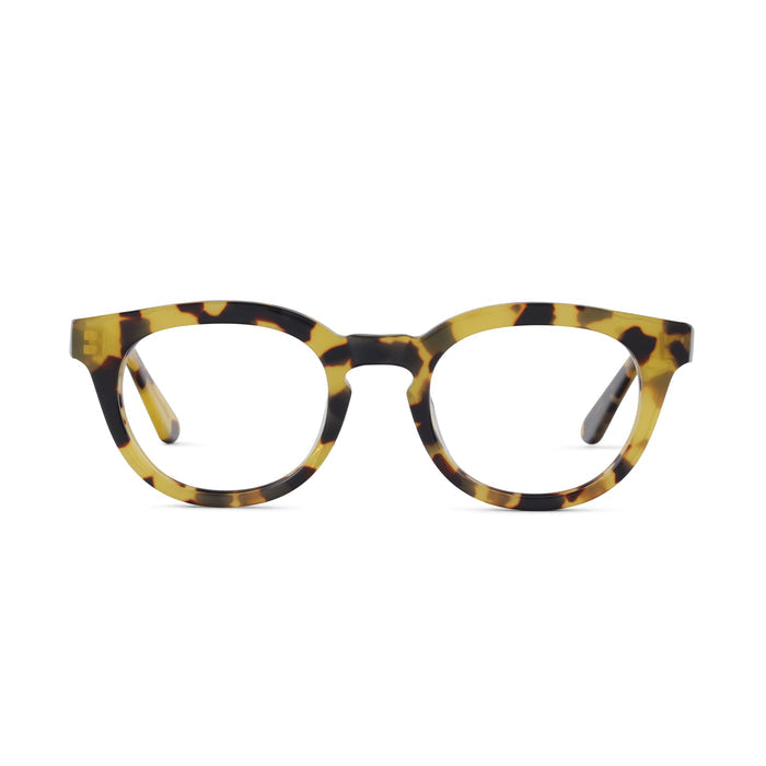 143 MEDIUM / Tokyo Tortoise