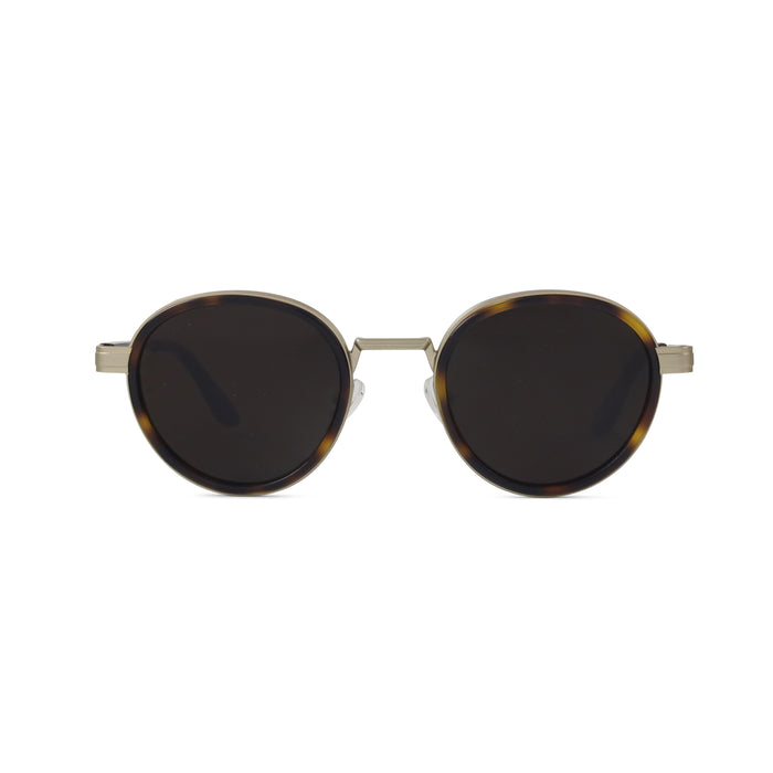 Tortoise / Gold - Brown Polar Lens
