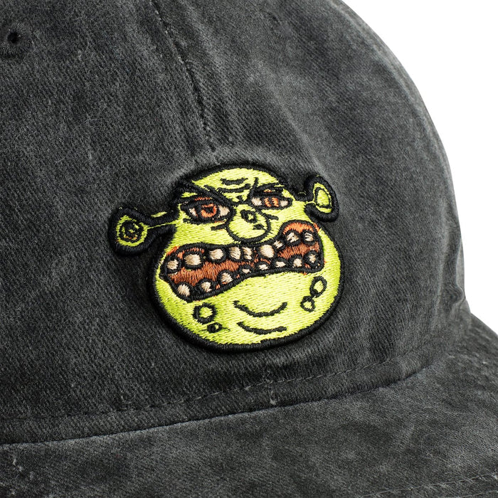 RSVLTS Shrek Hat Shrek "Beware OGRE" – Dad Hat