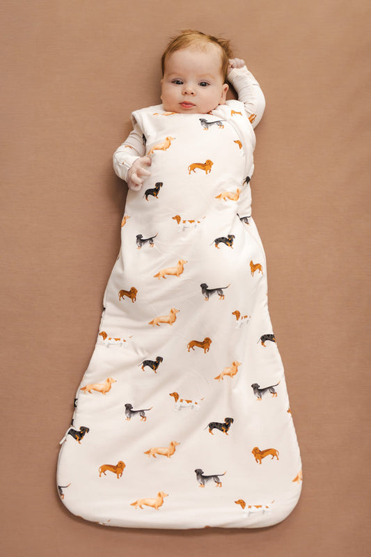 Baby in Beige Sleep Bag with Dachshund print on a brown background