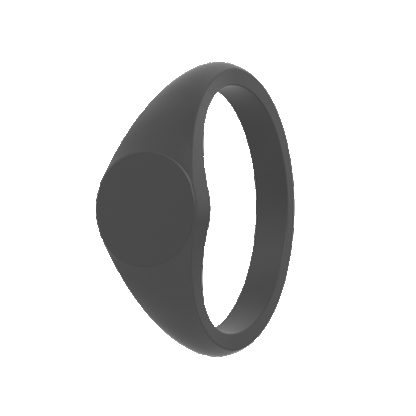 Small Signet Silicone Ring - Slate