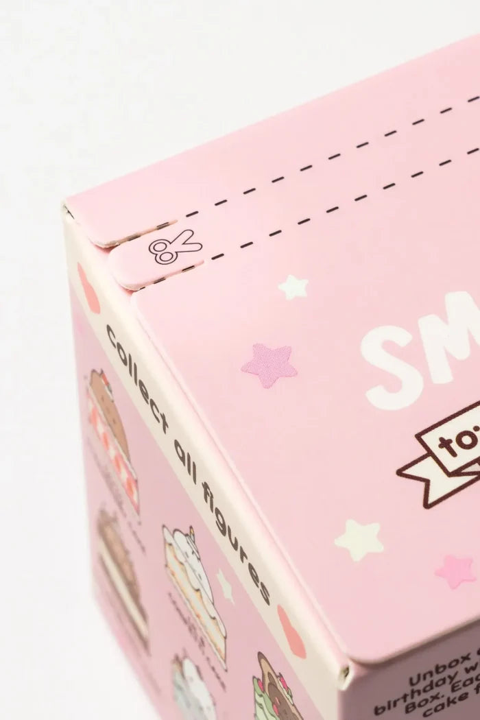 Smoko Friends Birthday Cake Blind Box Figure