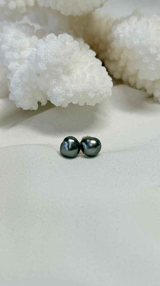 Tahitian Keshi studs - Peacock