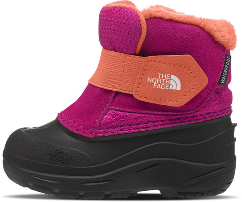 The North Face Alpenglow II Boot - Toddler