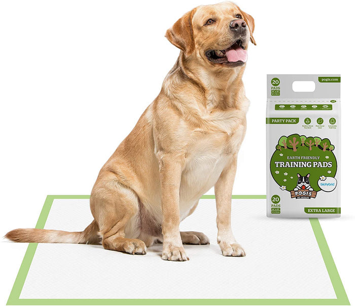 Training Pads - Large, Super-Absorbent, Earth-Friendly Puppy Pee Pads for Dogs - Eco Trade Company