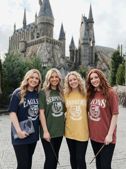 Wizard House Tees