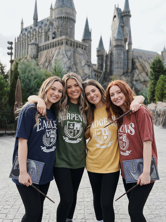 Wizard House Tees
