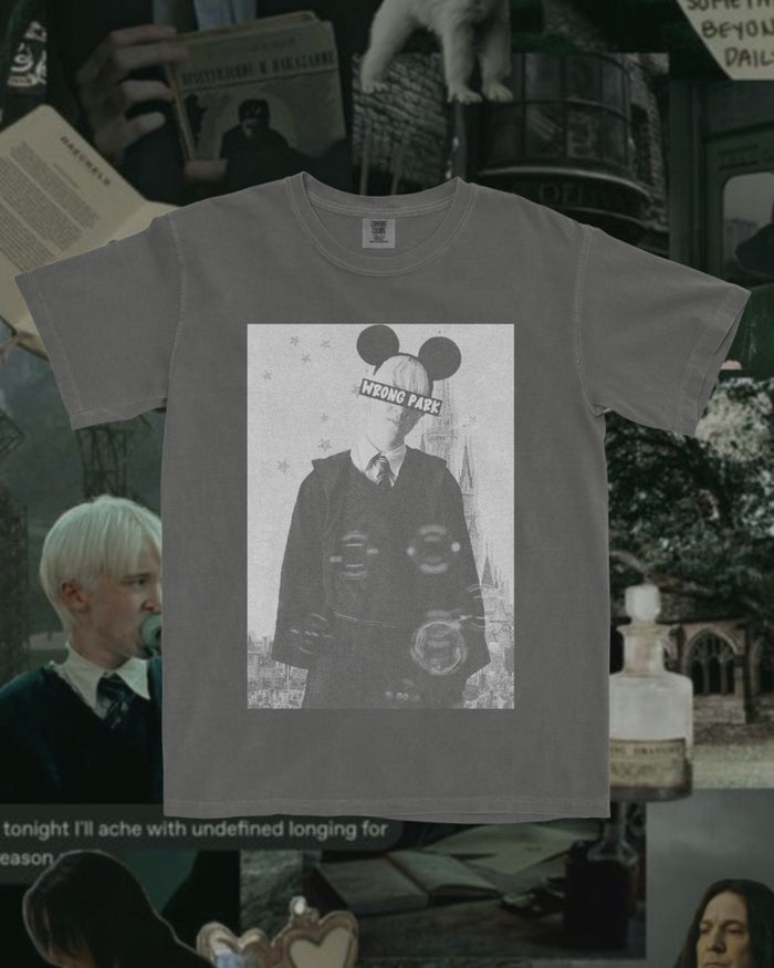 Wrong Park Draco Garment Dyed Tee
